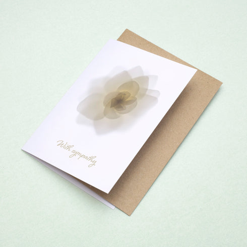 White Rose Sympathy Card