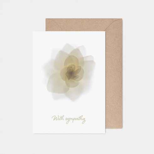 White Rose Sympathy Card