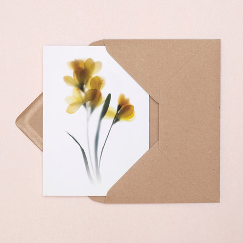 Yellow Freesia Card