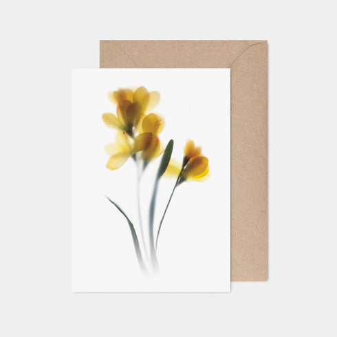 Yellow Freesia Card