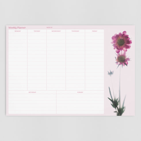 A4 Weekly Planner - Scabiosa