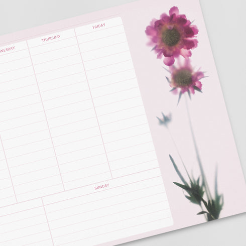 A4 Weekly Planner - Scabiosa