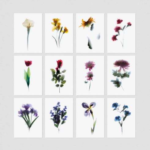 Floral Postcards - 12 Pack (Set 1)