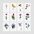 Floral Postcards - 12 Pack (Set 1)
