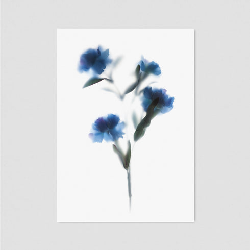 Blue Carnation Postcard