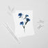 Blue Carnation Postcard
