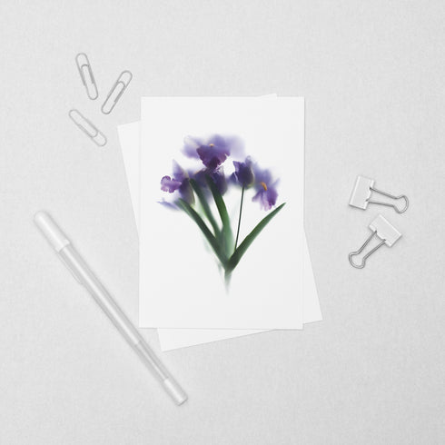 Purple Iris Bunch Postcard