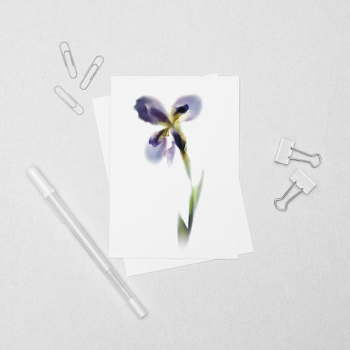 Purple Iris Stem Postcard