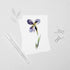 Purple Iris Stem Postcard