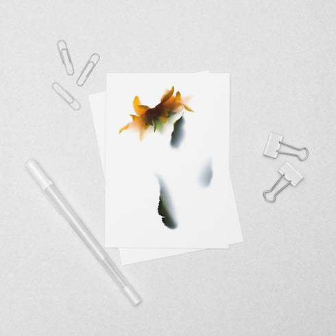 Yellow Sunflower Postcard