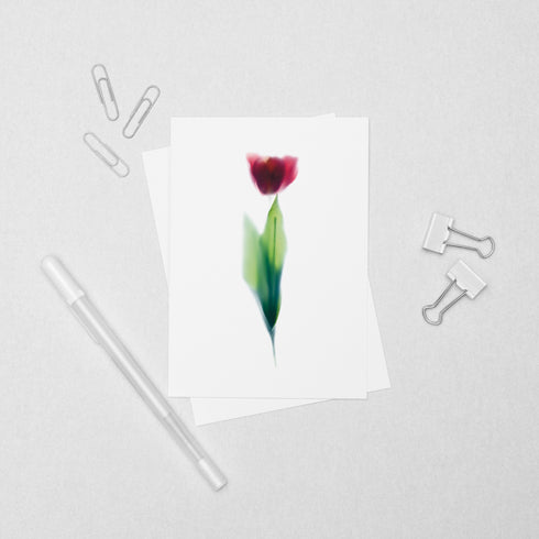 Pink Tulip Postcard