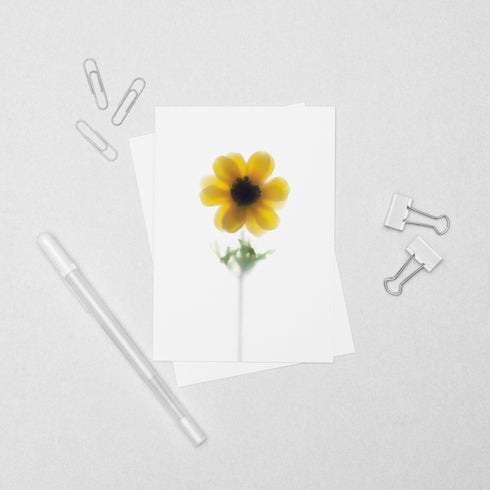 Yellow Daisy Postcard