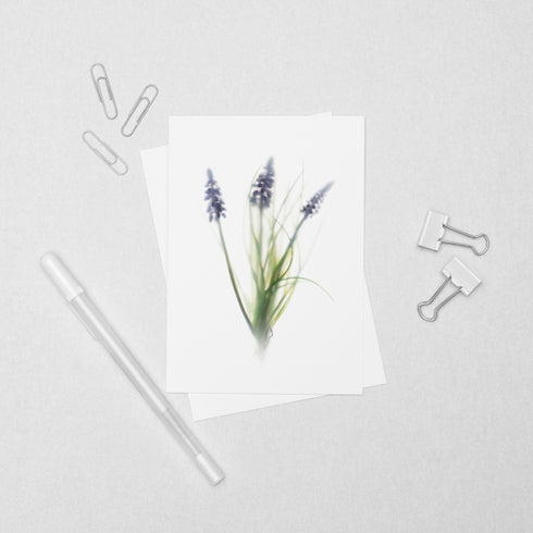 Purple Muscari Floral Postcard