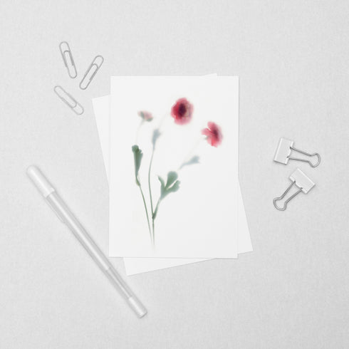 Pink Blooms Floral Postcard