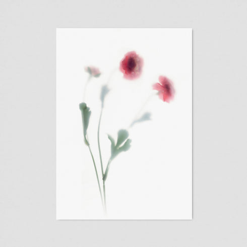 Pink Blooms Floral Postcard