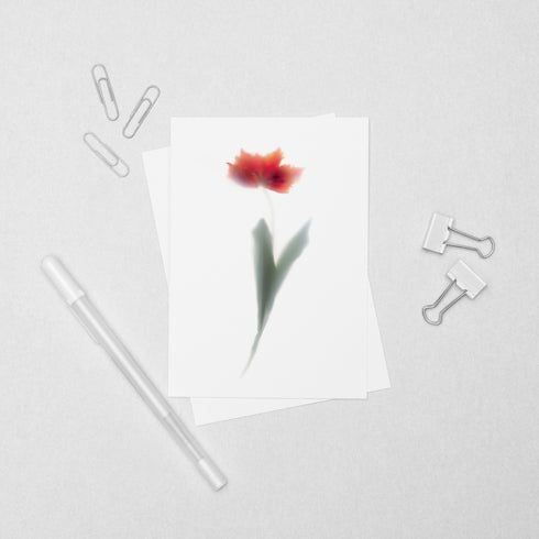 Red Tulip Floral Postcard
