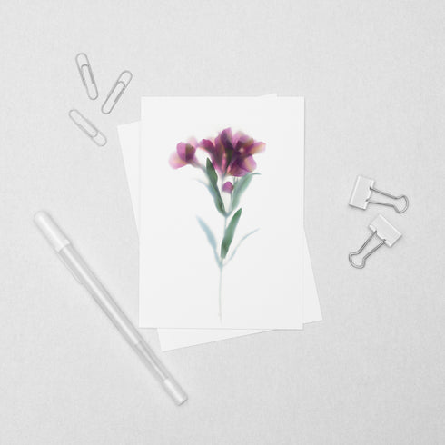 Pink Peruvian Lily Floral Postcard