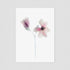 Pink Magnolia Floral Postcard