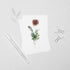 Pink Ranunculus Floral Postcard