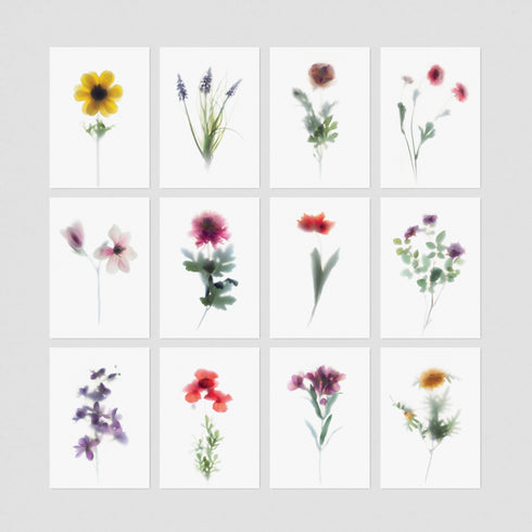 Floral Postcards - 12 Pack (Set 2)