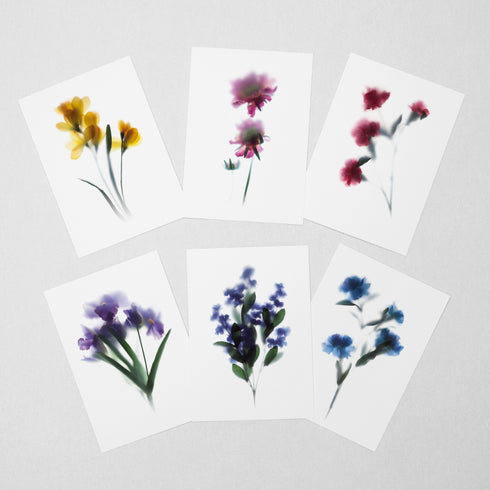 6 Floral Postcards - Impressions 2