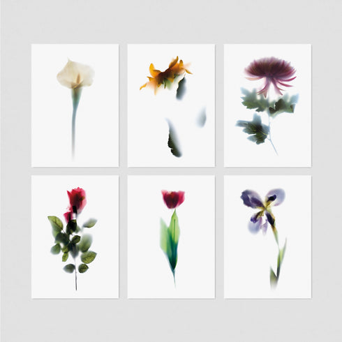 6 Floral Postcards - Impressions 1