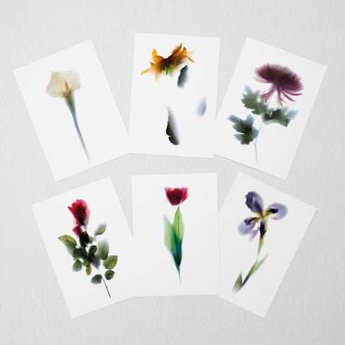 6 Floral Postcards - Impressions 1