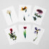 6 Floral Postcards - Impressions 1