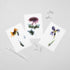 6 Floral Postcards - Impressions 1