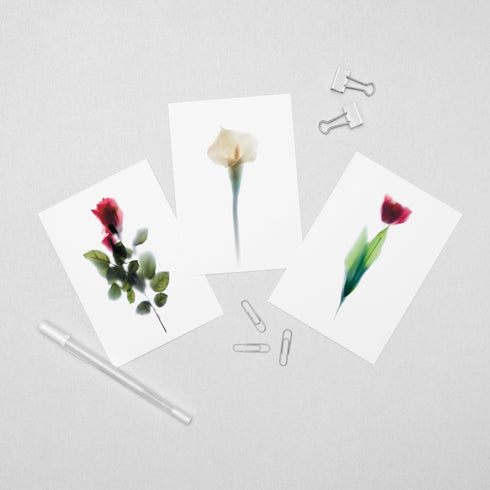 6 Floral Postcards - Impressions 1
