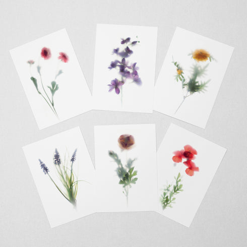 6 Floral Postcards - Impressions 3