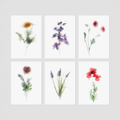6 Floral Postcards - Impressions 3