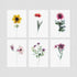 6 Floral Postcards - Impressions 4