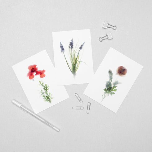 6 Floral Postcards - Impressions 3