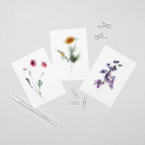 6 Floral Postcards - Impressions 3