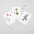 6 Floral Postcards - Impressions 3