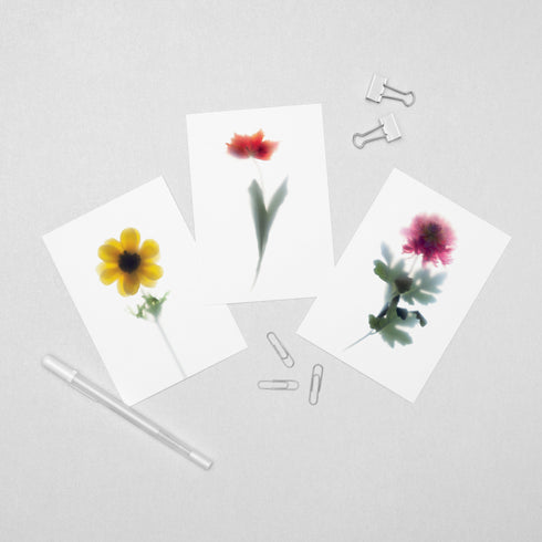 6 Floral Postcards - Impressions 4