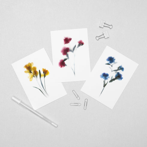 6 Floral Postcards - Impressions 2
