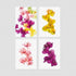 Floral Postcard Pack - Orchids