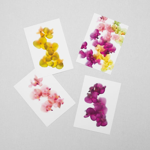 Floral Postcard Pack - Orchids