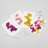Floral Postcard Pack - Orchids