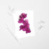 Magenta Pink Orchid Postcard