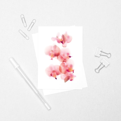 Baby Pink Orchid Postcard