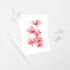 Baby Pink Orchid Postcard