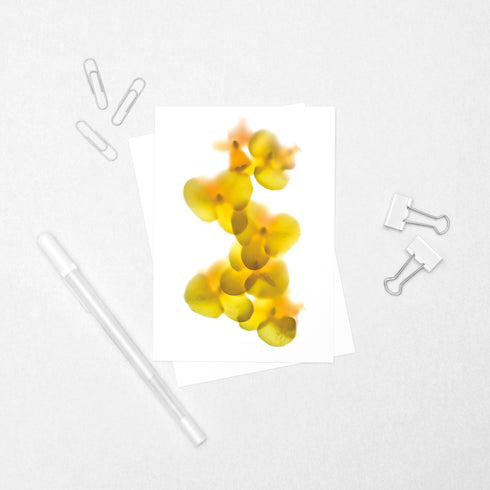 Yellow Orchid - Floral Postcard