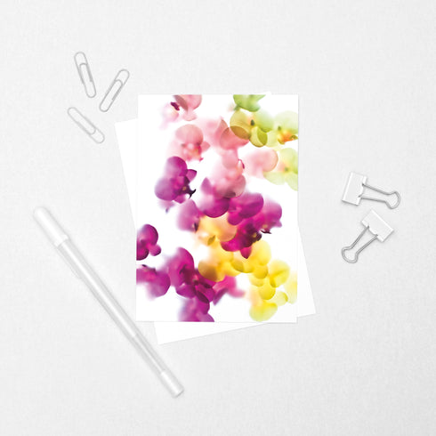 Multi-Coloured Orchids - Floral Postcard