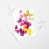 Multi-Coloured Orchids - Floral Postcard