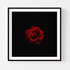 Red Rose II - Floral Art Prints