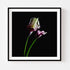 Duo Calla Lilies I - Floral Art Prints