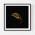 Green Anthurium II - Floral Art Prints